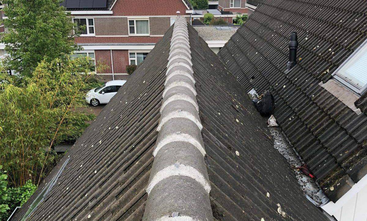 Nokvorsten Baarlo